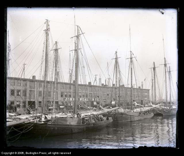 T Wharf North Dock Boston